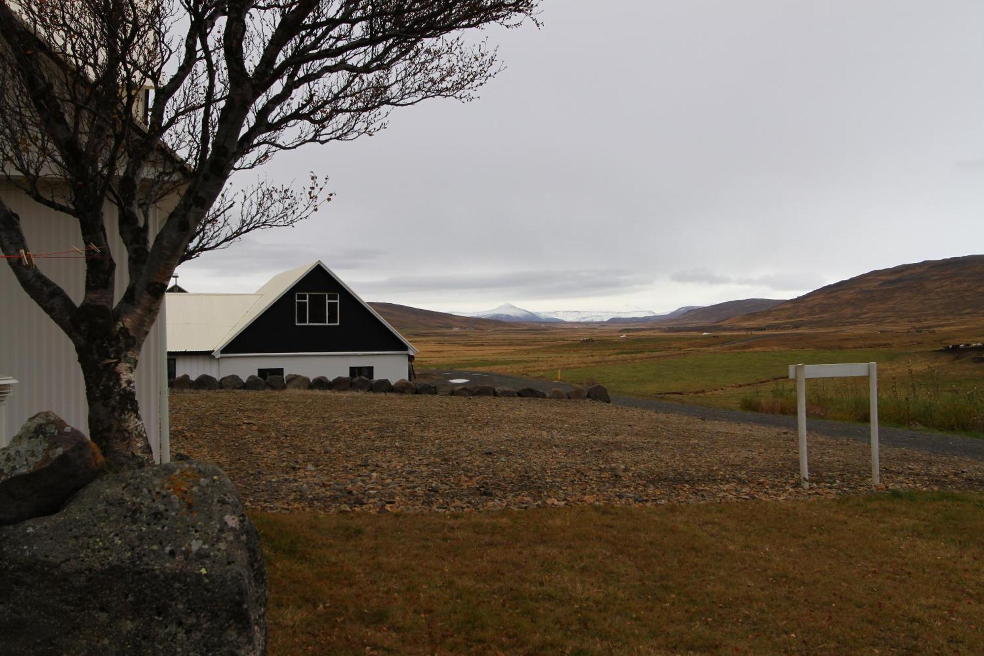 Guesthouse Steindorsstadir, West Iceland Reykholt  Extérieur photo