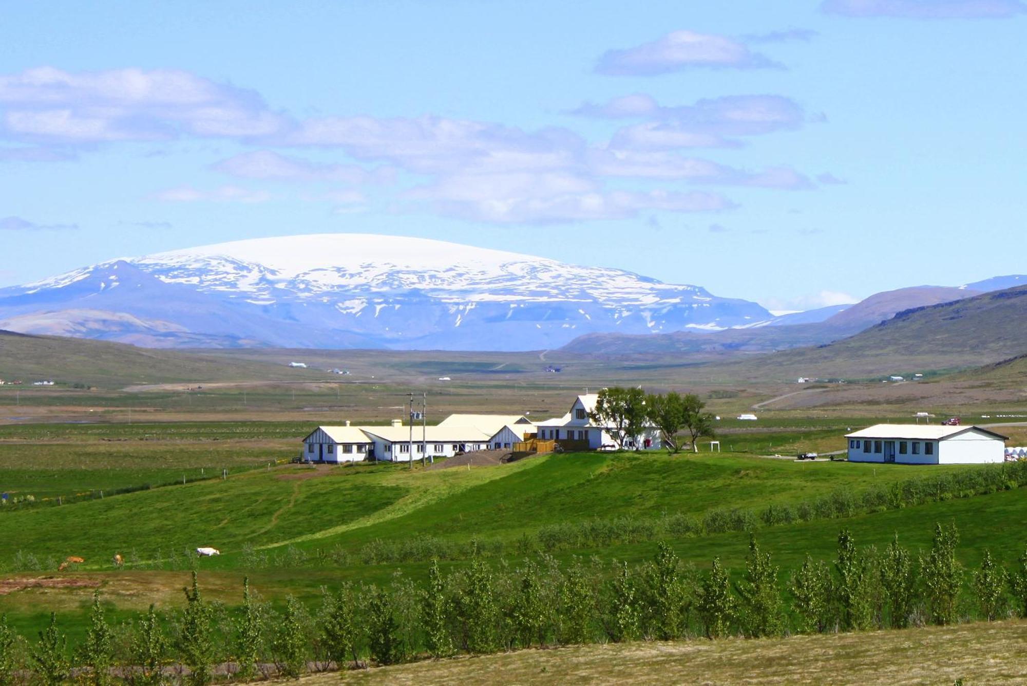 Guesthouse Steindorsstadir, West Iceland Reykholt  Extérieur photo